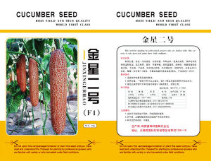 金星二號 金星二號