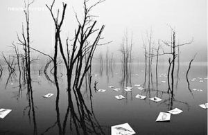 《明天的現實》