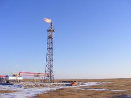 地面火炬 地面火炬