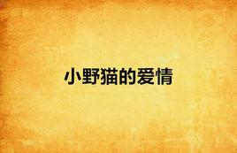 小野貓的愛情 小野貓的愛情