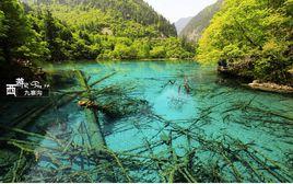 四川省中國旅行社官方網站 四川省中國旅行社官方網站