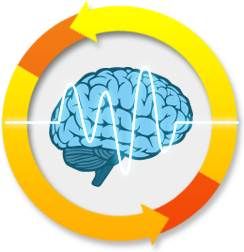 科學健腦 科學健腦