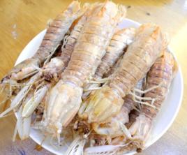 白灼皮皮蝦 白灼皮皮蝦