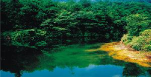 （圖）青藏高原濕地美