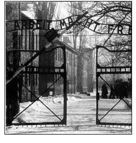 奧斯維辛集中營解放日