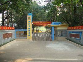 銀湖學校 銀湖學校