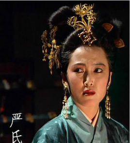 嚴夫人[三國志大戰系列角色]