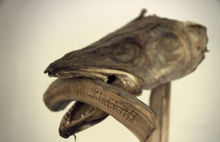 魔法與巫術博物館