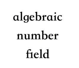 代數數域 代數數域