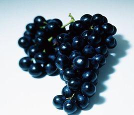 黑葡萄 黑葡萄