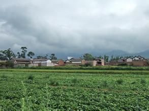 馬梨園村 馬梨園村