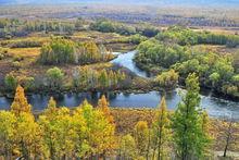 伊圖里河盤山道濕地