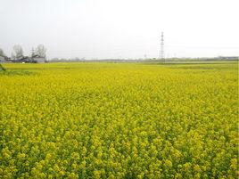 漢中平原 漢中平原