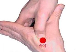 合谷穴 合谷穴