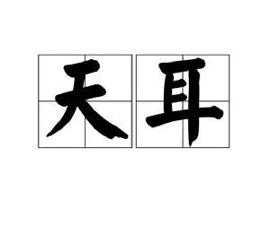 天耳 天耳