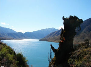 冶勒自然保護區 冶勒自然保護區