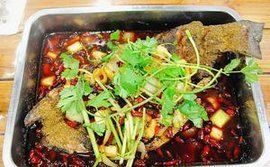 美味佳肴 美味佳肴