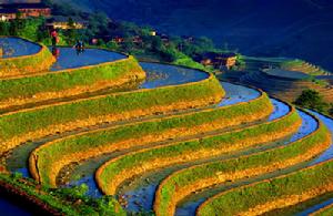 貴州高原山地居多