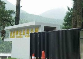 韶關南嶺森林公園 韶關南嶺森林公園