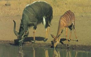 （圖）林波波省