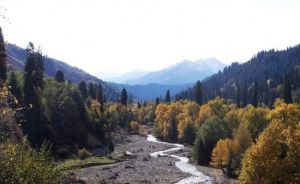紅柳生態觀光園 紅柳生態觀光園