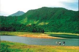 國營大豐農場 國營大豐農場