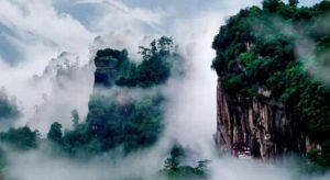 九龍竹海國家森林公園 九龍竹海國家森林公園