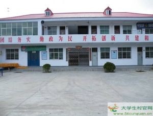 東新科村 東新科村