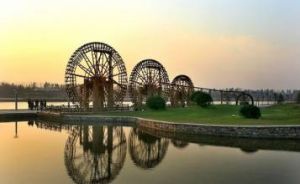 黃河故道森林公園