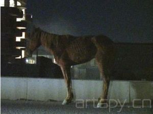 “Time after time”