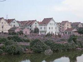 黃海村[浙江台州市路橋區金清鎮黃海村]