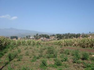 劉家溝自然村 劉家溝自然村