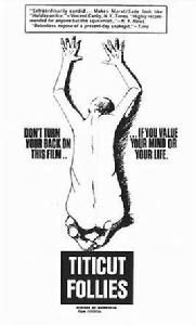 提提卡失序記事 提提卡失序記事