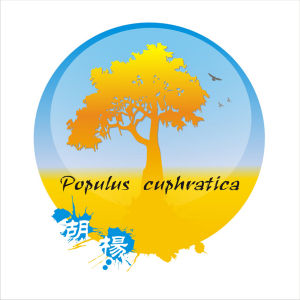 喀什胡楊公益 喀什胡楊公益