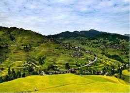 永樂鎮[貴州省遵義市紅花崗區永樂鎮]