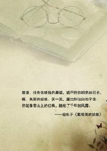 戴眼鏡的姑娘 戴眼鏡的姑娘