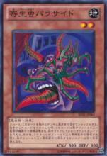 寄生蟲 帕拉賽德