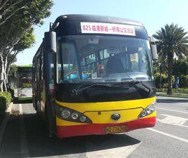 廈門825路 廈門825路