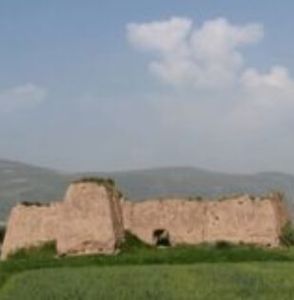 董家灣村 董家灣村