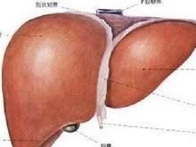 猛爆性肝炎 猛爆性肝炎