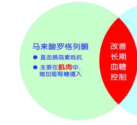 馬來酸羅格列酮