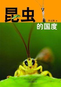 昆蟲的國度 昆蟲的國度