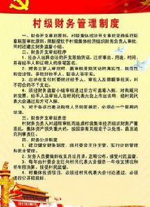 村級財務管理 村級財務管理