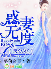 聘金3億，BOSS惑妻無度