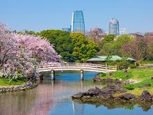 濱離宮恩賜庭園