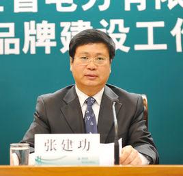 張建功[國家電網公司安全監察質量部主任]