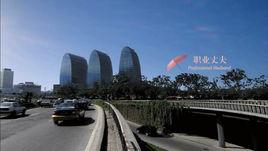 職業丈夫 職業丈夫