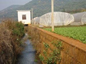 吳家營自然村 吳家營自然村