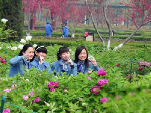 （圖）第二十七屆洛陽牡丹花會