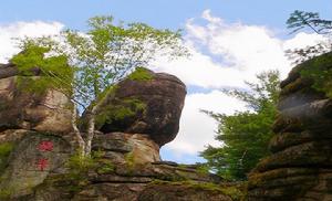 白漁泡國家濕地公園